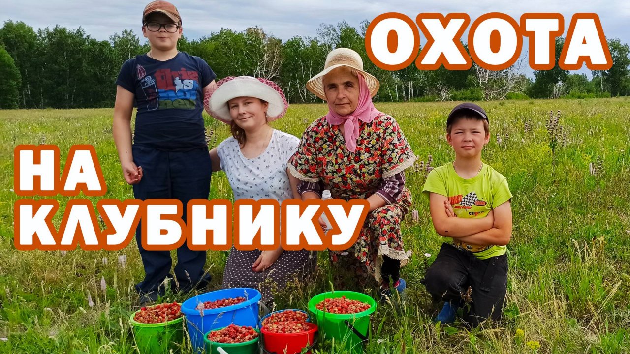 Поехали на нашу клубничную поляну на охоту и за 2 часа собрали очень много клубники. Сезон открыт