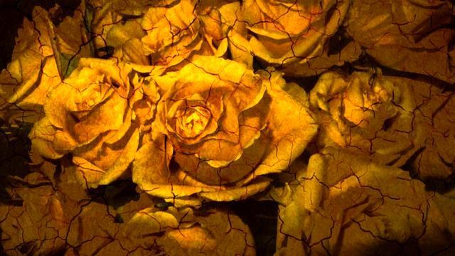 Слушать лучшую песню в машину онлайн смотреть онлайн