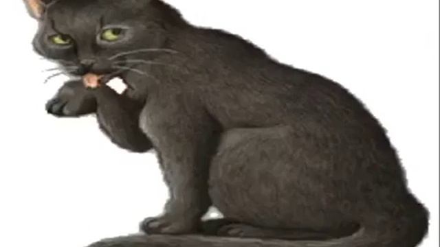 Песнь о любви смотреть онлайн