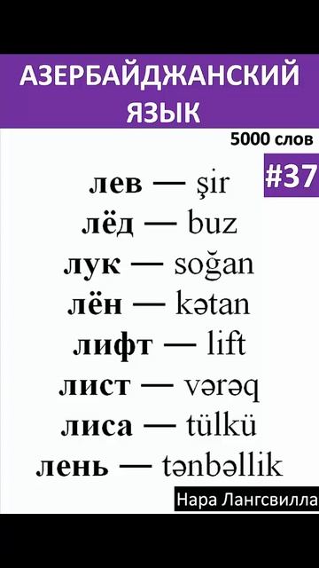 37. Азербайджанский язык / Короткое видео / Слова лев, лёд, лук, лён, лифт, лист, лиса, лень#shorts смотреть онлайн