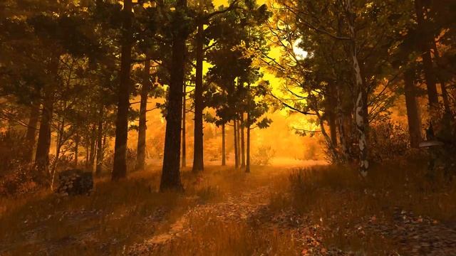 Живые обои для рабочего стола.(Autumn Forest 3D Screensaver)Live Wallpapers for your desktop.