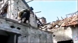 Пантеры Сербия перевод