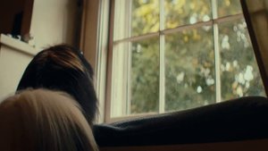 Blazar Remus 1.5x 35mm Anamorphic on Blackmagic Pocket 6K G2.