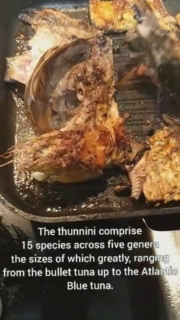 GRILLED TUNA FISH HEAD #SHORTS смотреть онлайн
