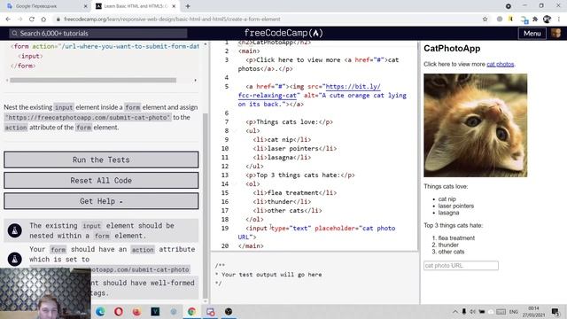 Изучаем HTML на freecodecamp  Урок 16 Create a Form Element