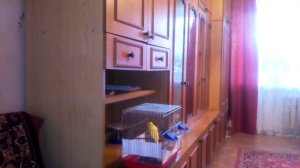 Пение Кенара