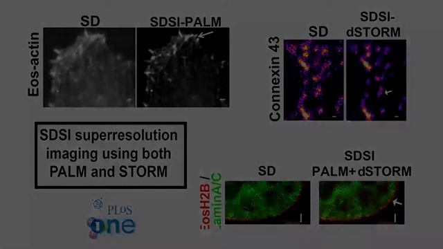 UV Disinfectant & Photon Chips - LIGHT MATTERS 10.16.2013 смотреть онлайн