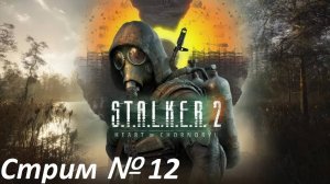 S.T.A.L.K.E.R. 2: Heart of Chornobyl. Стрим № 12.