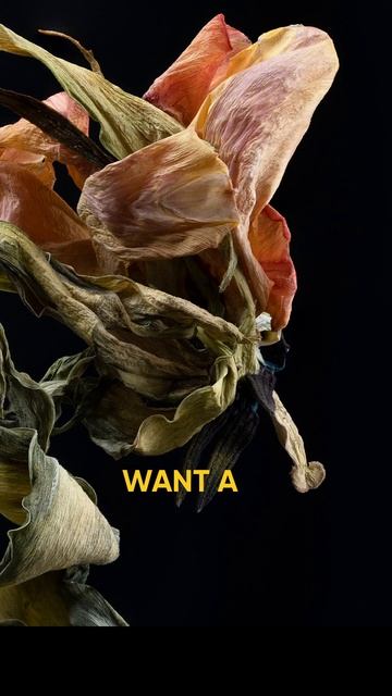 Study photography in our inclusive, creative environment. смотреть онлайн