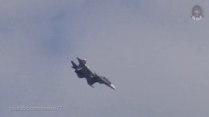Су 30СМ может зависнуть в одной точке Sukhoi Su 30SM can hover at