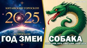 2025 год для Собаки: тайны Зелёной Деревянной Змеи