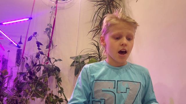 4A. Домашнее задание по английскому языку. смотреть онлайн