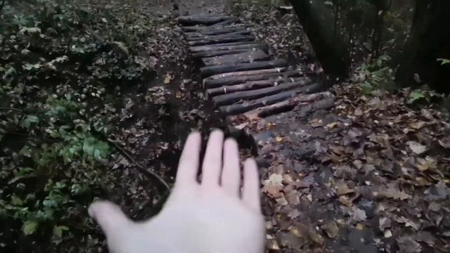 Беговой влог. Осенние 14 КМ по лесу. #бег#беговойвлог#бегонутые