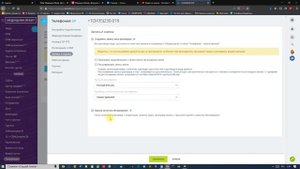 Подключаем телефонию через SIP-коннектор на портал Битрикс24. Рассмотрены и остальные способы.