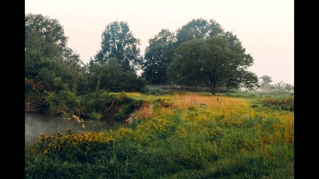 Утренние туманы смотреть онлайн