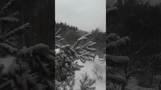 Авторское чтение, Леонида Савельева. Рассказ "Знаки", Часть 1. смотреть онлайн