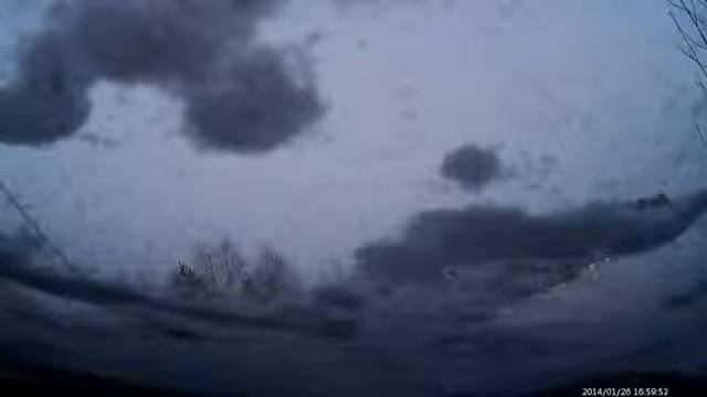 Зая не хотела, главное все выжили смотреть онлайн