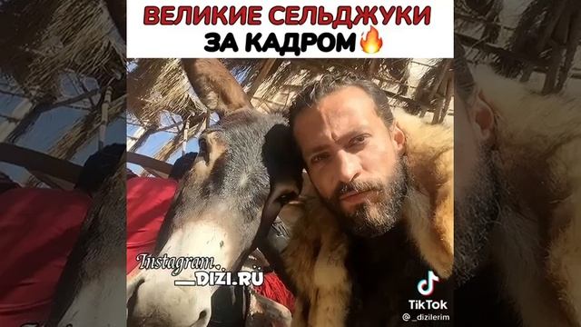 великие сельджуки