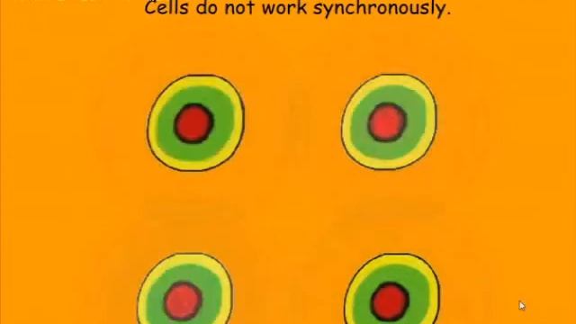 Взаимодействие клеток организма и аппарат CEM TECH смотреть онлайн