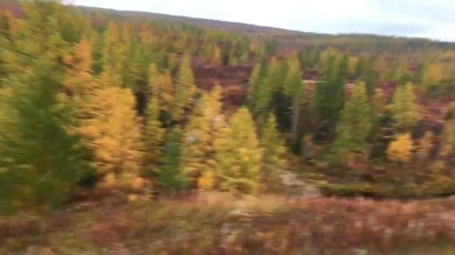 Осень тундра нядаяха смотреть онлайн