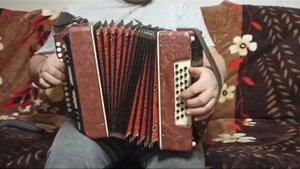 Шуйская гармонь