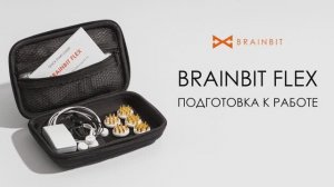 BrainBit Flex. Подготовка к работе
