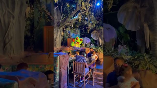 Rain Forest Cafe Restaurant | Dubai Festival City Mall | Lazer Show | Birthday Party - Video 1 смотреть онлайн