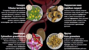 Аденофрин в аптеке. Отзывы, применение, инструкция.
