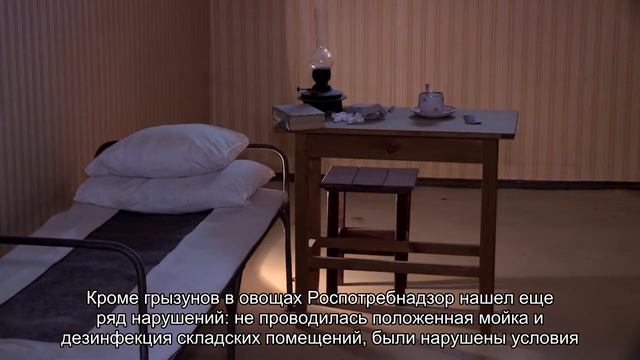 В массовом отравлении красноярских школьников оказались виноваты грызуны с овощных складов смотреть онлайн