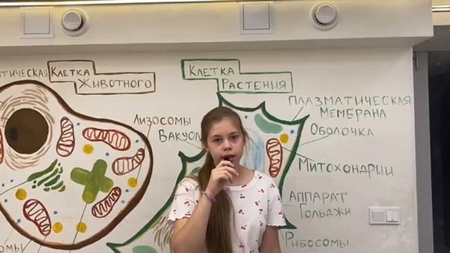 Лаборатория.Детская Академия Наук глазами детей| Частная школа| Санкт-Петербург смотреть онлайн