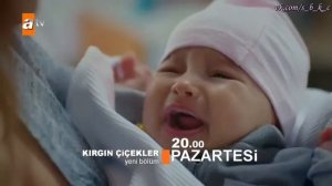 Обиженные цветы 62 серия анонс