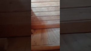 1000022533.mp4