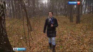 Заведено уголовное дело на женщину, бросившую ребёнка в Измайловском парке