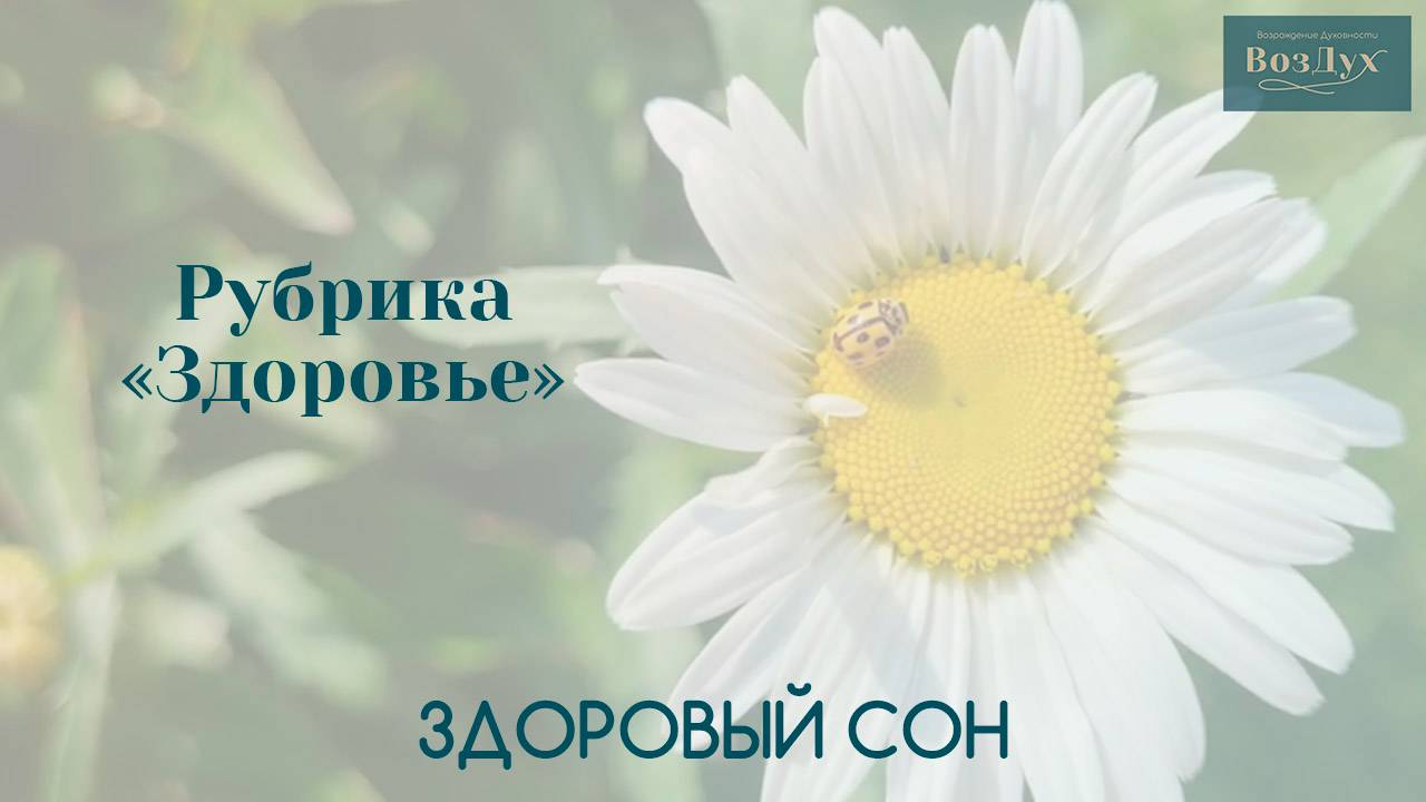 Здоровый сон | Здоровье | Татьяна Бекаревич