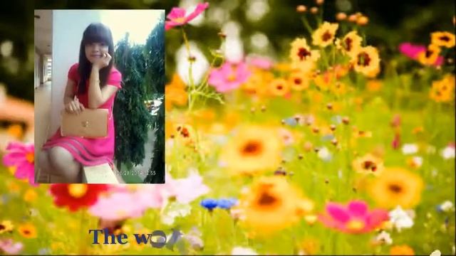 Proshow producer - Slideshow from my photos смотреть онлайн