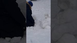 продолжение большой лошади из снега