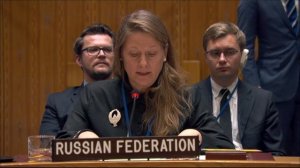 Statement by Maria Zabolotskaya at a UNSC meeting on the ICC investigation regarding Darfur