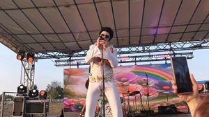 Двойник Элвиса Пресли на праздник, корпоратив и Новый год - заказать двойника на юбилей в Москве