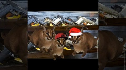 Шлепа и Пельмень сезон 1 серия 4