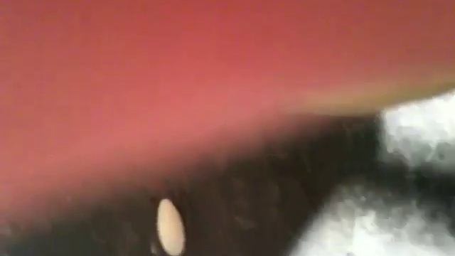 Pickle Worm Damage to Melons - Jacksonville Micro Farm смотреть онлайн