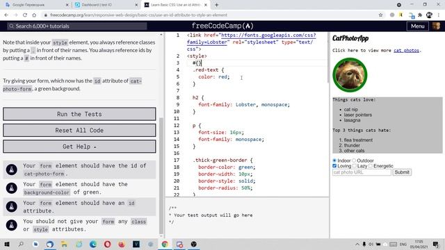 Изучаем HTML на freecodecamp  Урок 34   Use an id Attribute to Style an Element