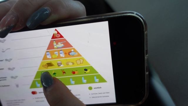 Влог из 🇩🇪/1 место и новый кубок/Пирамида Правильного Питания/Кот Мейнкун/ смотреть онлайн