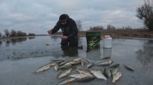 ДОСТАЮ ОДНУ ЗА ОДНОЙ! КРАСНОПЁРКА, ОКУНЬ. ЛОВЛЯ НА МОРМЫШКУ СО ЛЬДА В АСТРАХАНИ.