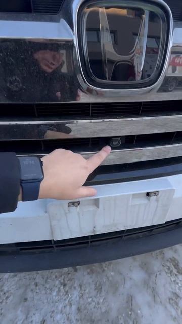 Хонда Степвагон 4 камеры - как понять на аукционе что они есть #honda #stepwgn #хабаровск смотреть онлайн