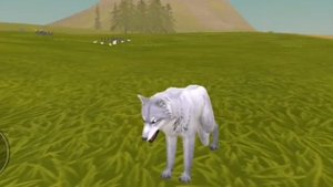 Клип- день, ночь, руки прочь. ч. о. (Wildcraft)