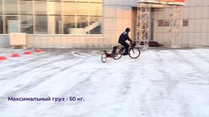 Курганский прицеп для велосипеда! Груз - до 50 кг. #велосипед #прицепдлявелосипеда