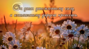 Дай силы жить... | стихи христианские