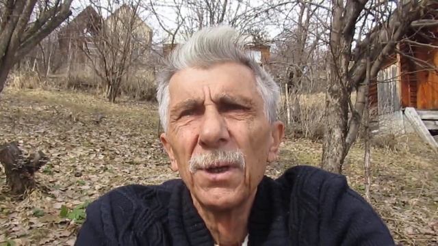 Тишина смотреть онлайн