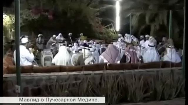 Мавлид в лучезарной Медине
