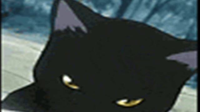 Магические Коты-Воители. Одиннадцать племен. Один лидер. смотреть онлайн